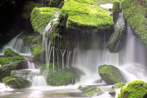 Moss, Brook, Water, Tree, Waterfall