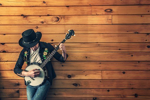 Musician, Country Song, Banjo, Guitar
