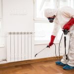 Pest Control Services in My Area
