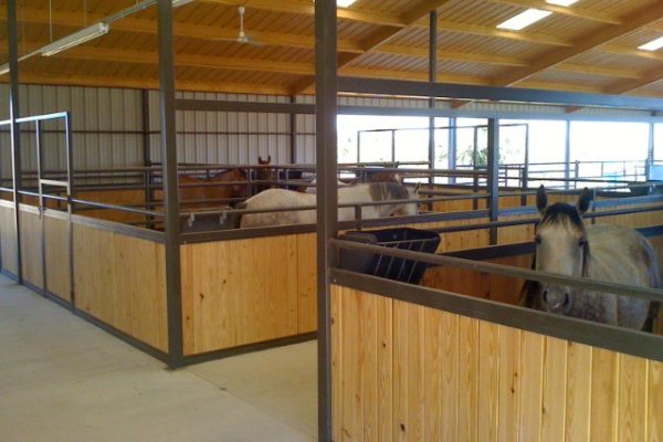 What Are Horse Stalls Used For?