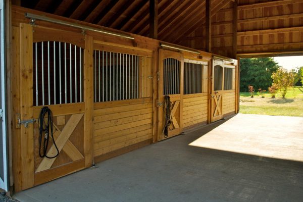 How Much Water Do Horses Need in Their Stall?