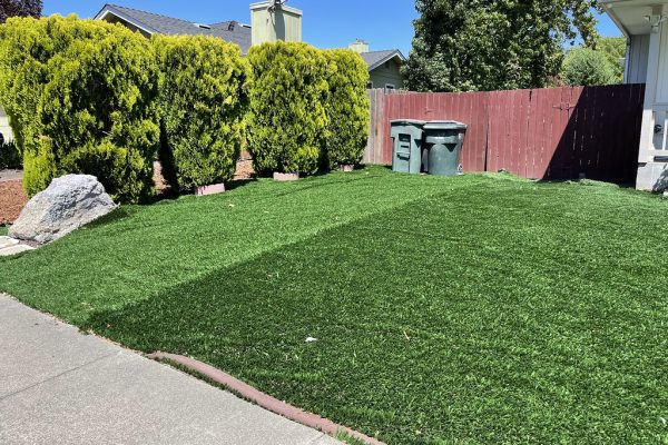 Say Goodbye to Lawn Care Hassles: Embrace Artificial Turf in Scottsdale