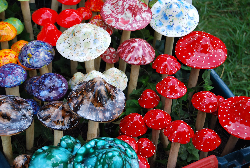 Safe and Responsible Psychedelic Journeys with Our Dispensary’s Magic Mushrooms
